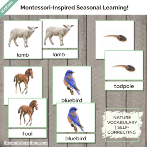 Spring Animals 3-Part Cards