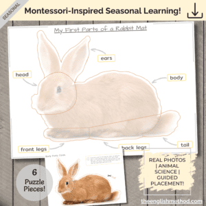 My First Parts of a Rabbit Mat