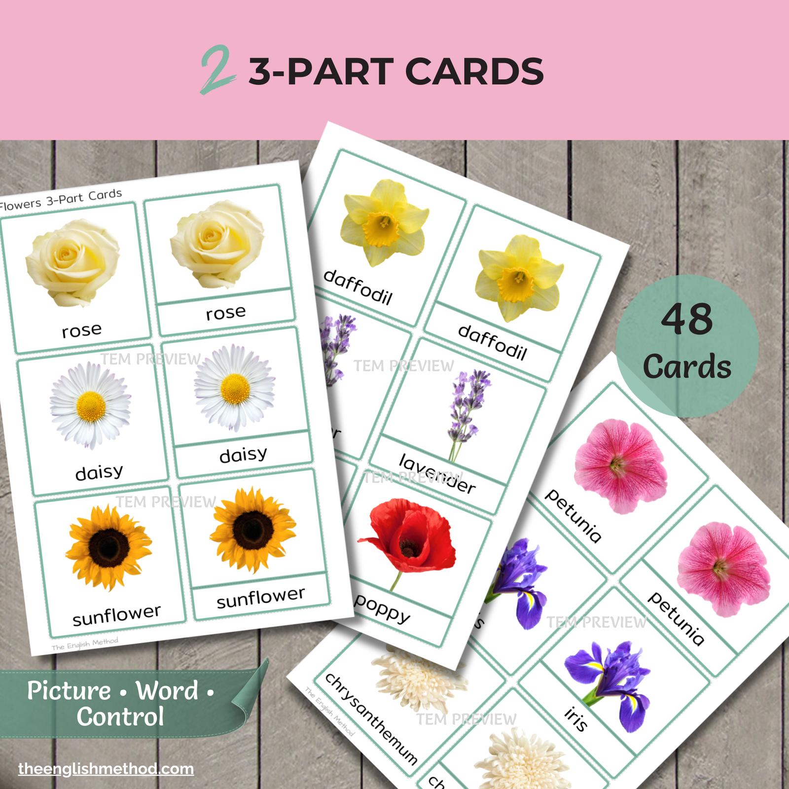 Flowers Study - Image 4