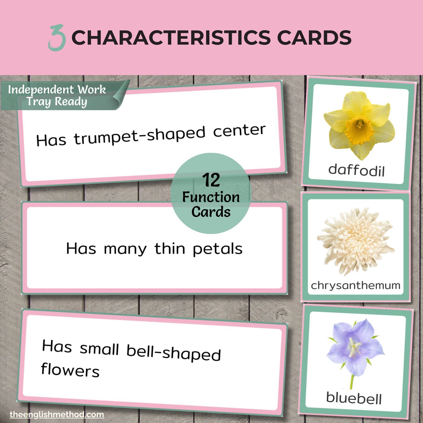 Flowers Study - Image 5