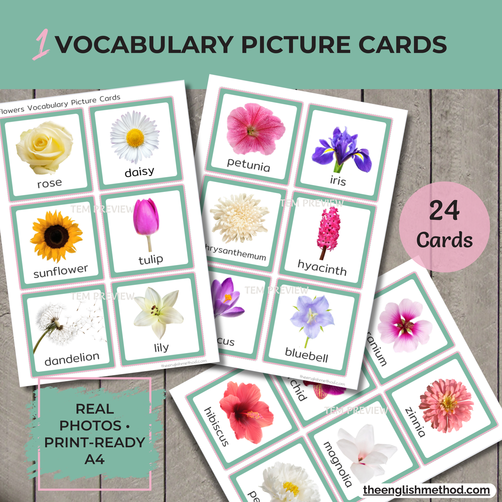 Flowers Study - Image 3