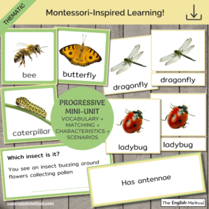 Insects Study