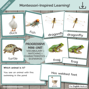Pond Animals Study