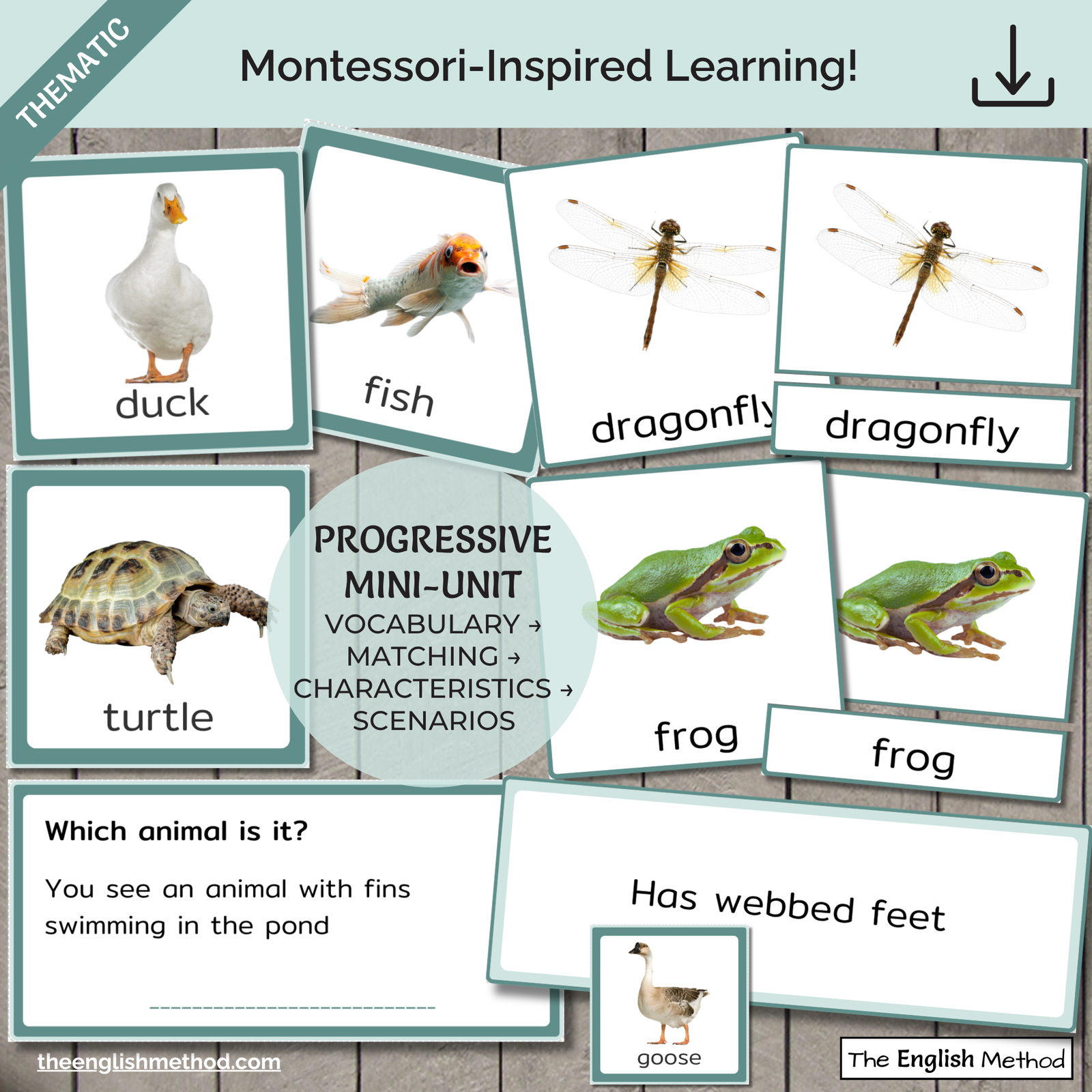 Pond Animals Study