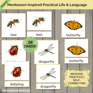 Insects 3-Part Cards
