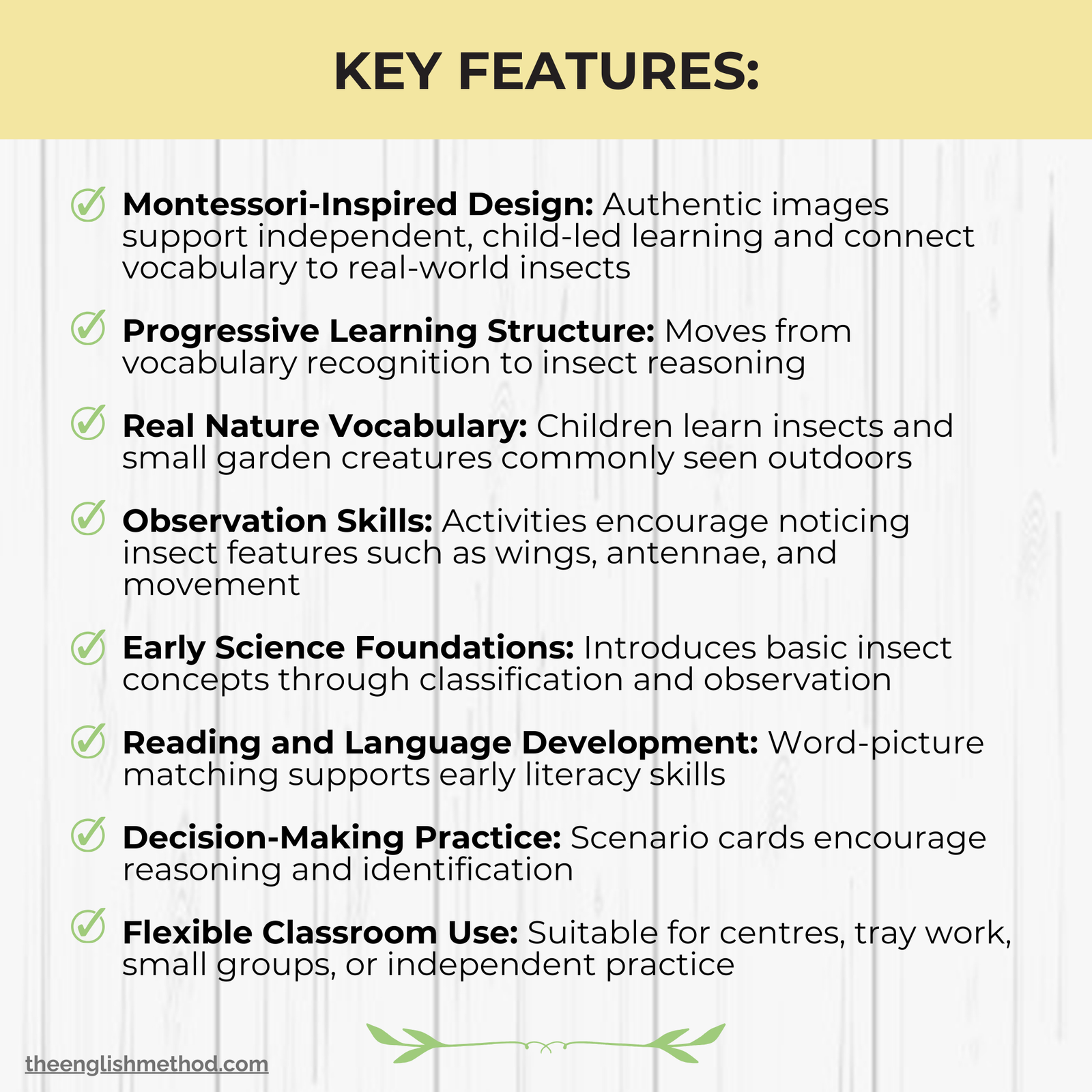 Insects Study - Image 7