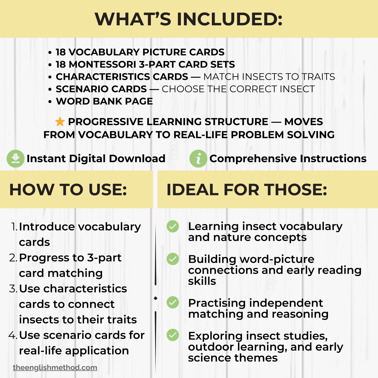 Insects Study - Image 2