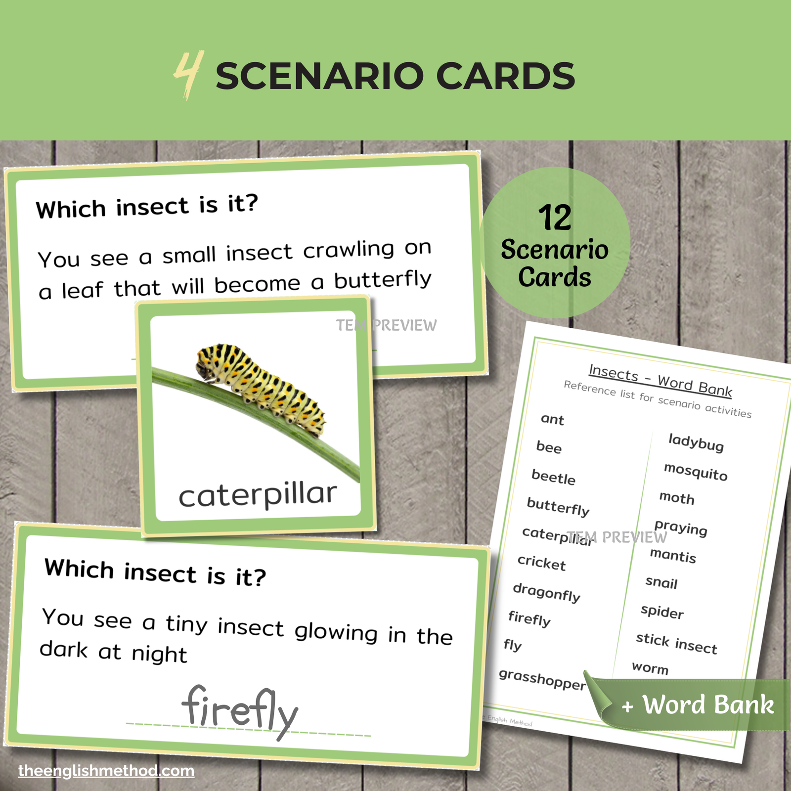 Insects Study - Image 6