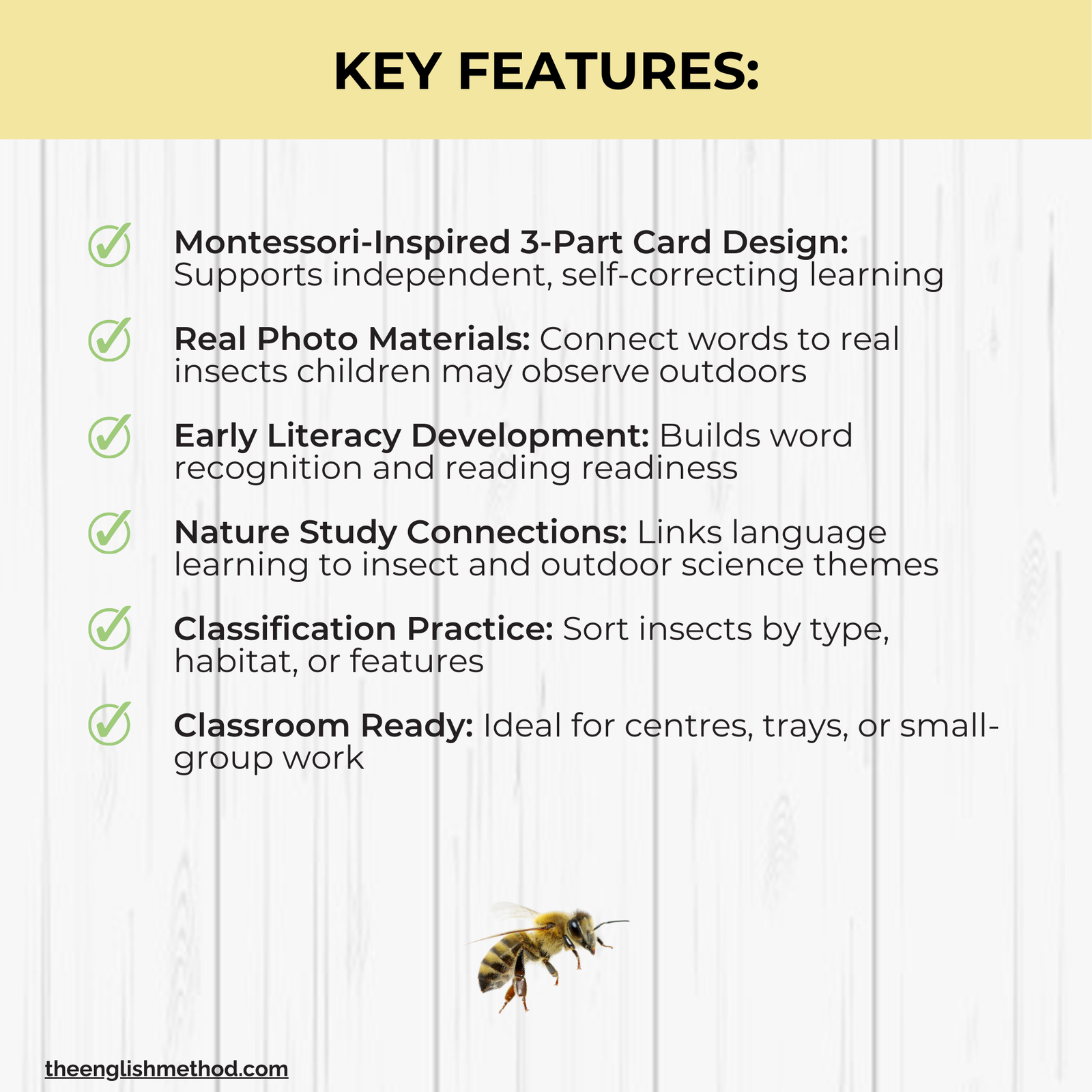 Insects 3-Part Cards - Image 4