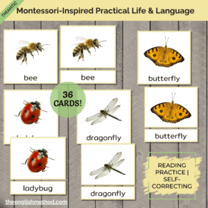 Insects 3-Part Cards