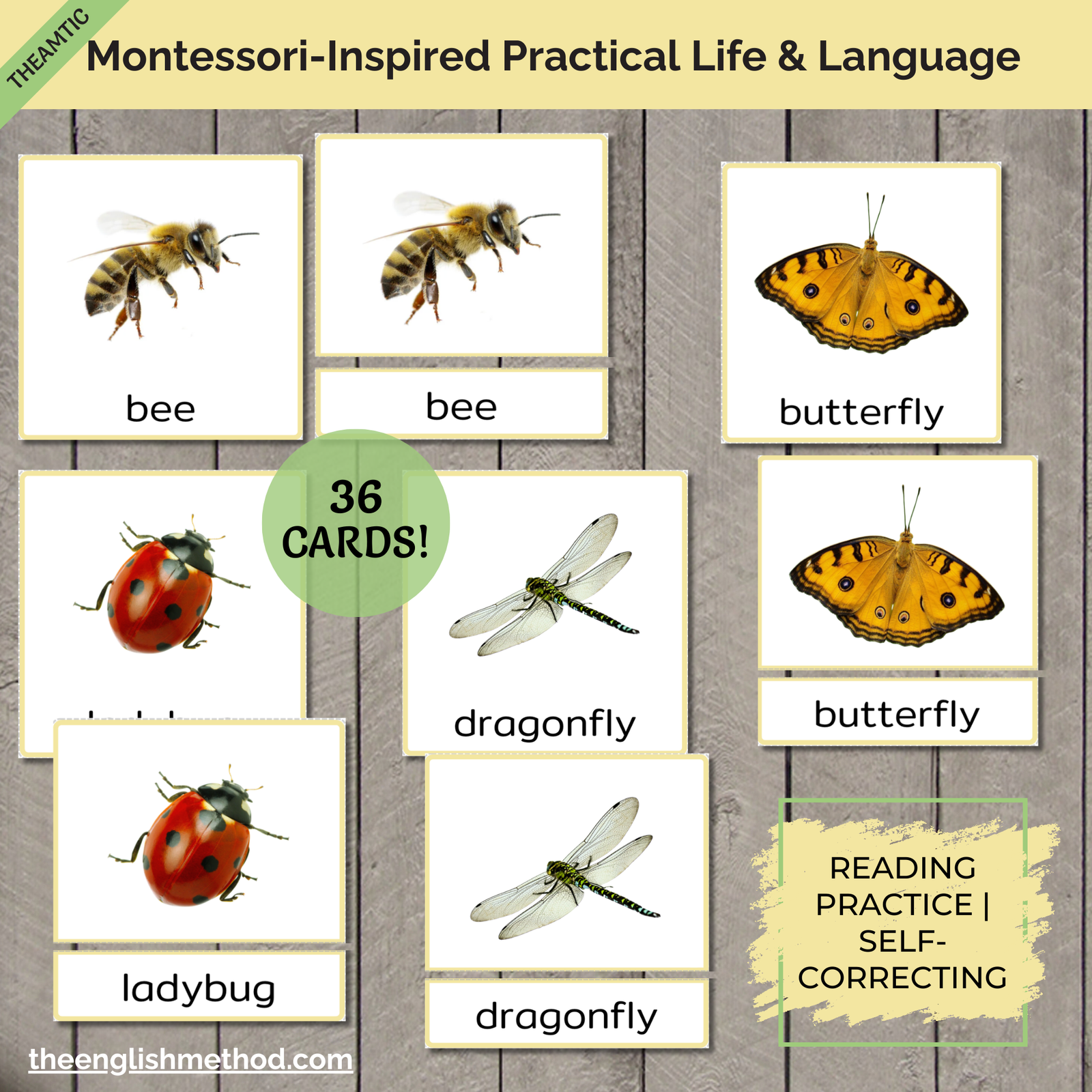 Insects 3-Part Cards