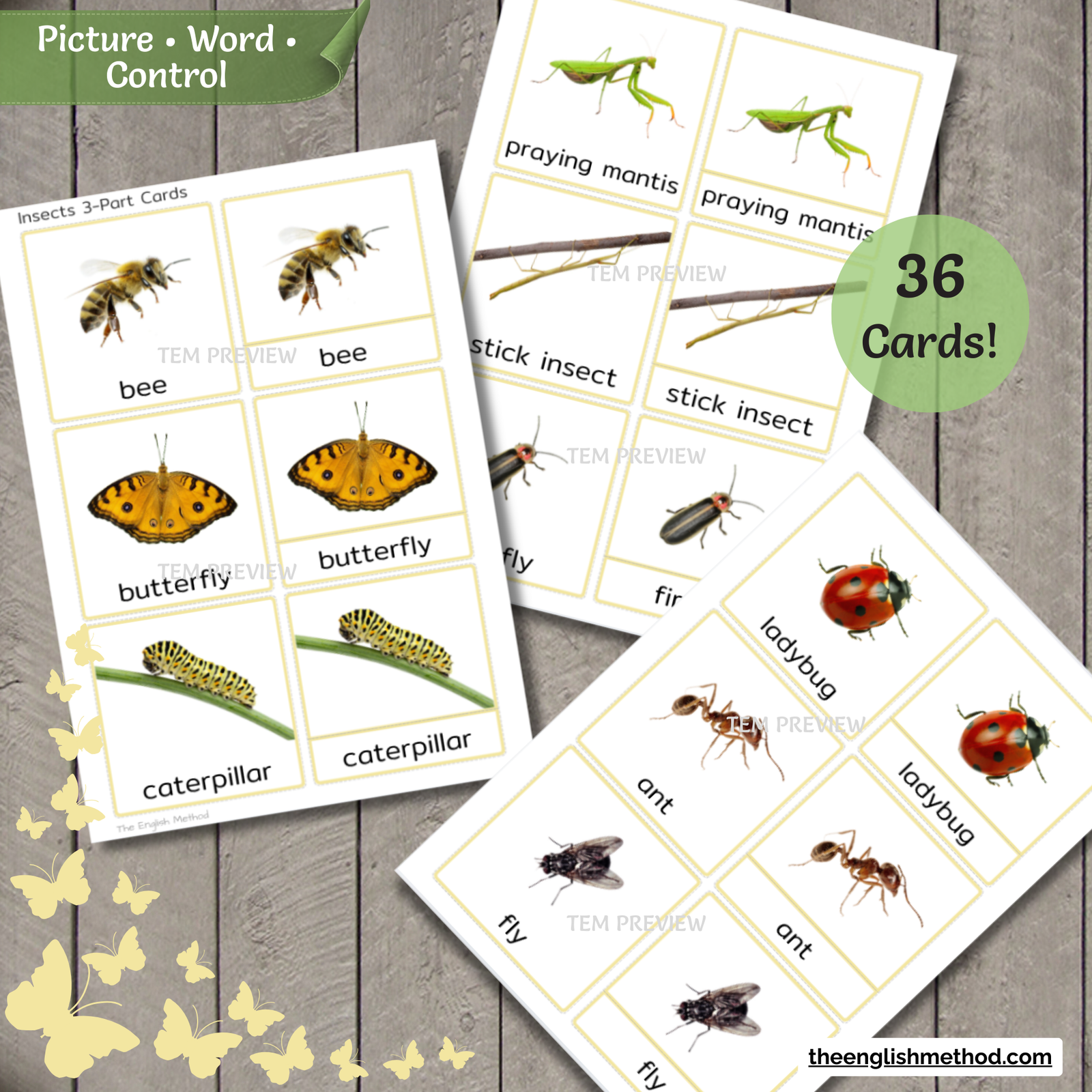 Insects 3-Part Cards - Image 3