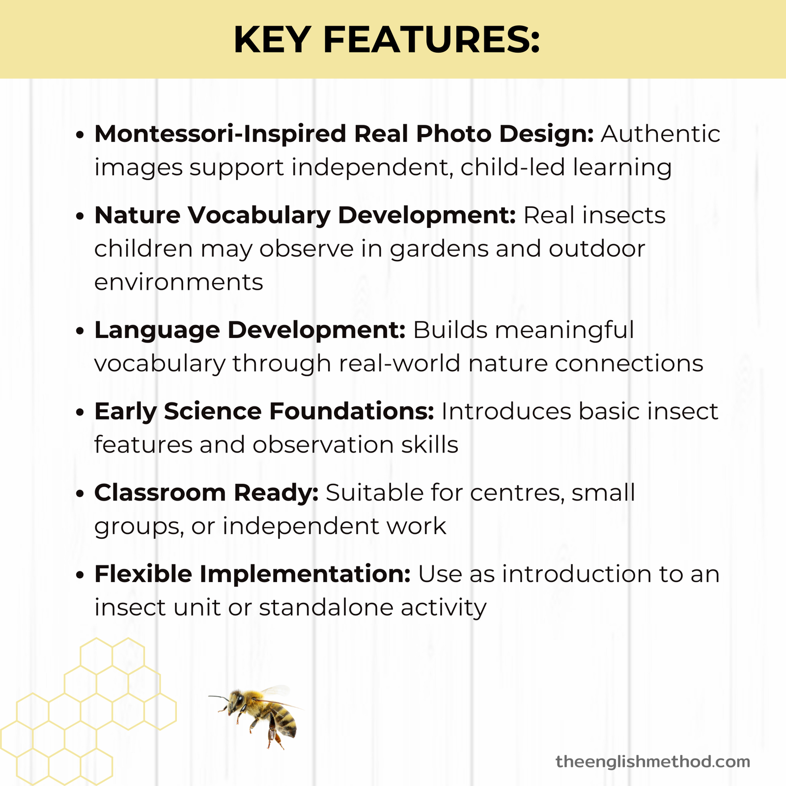 Insects Vocabualry Picture Cards - Image 4