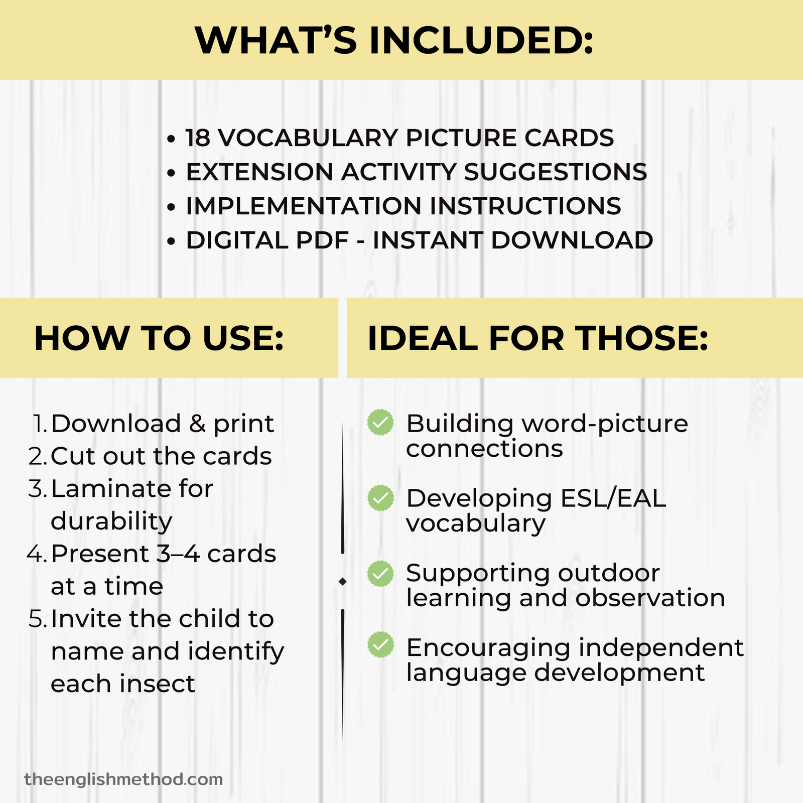 Insects Vocabualry Picture Cards - Image 2