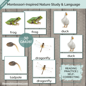 Pond Animals 3-Part Cards