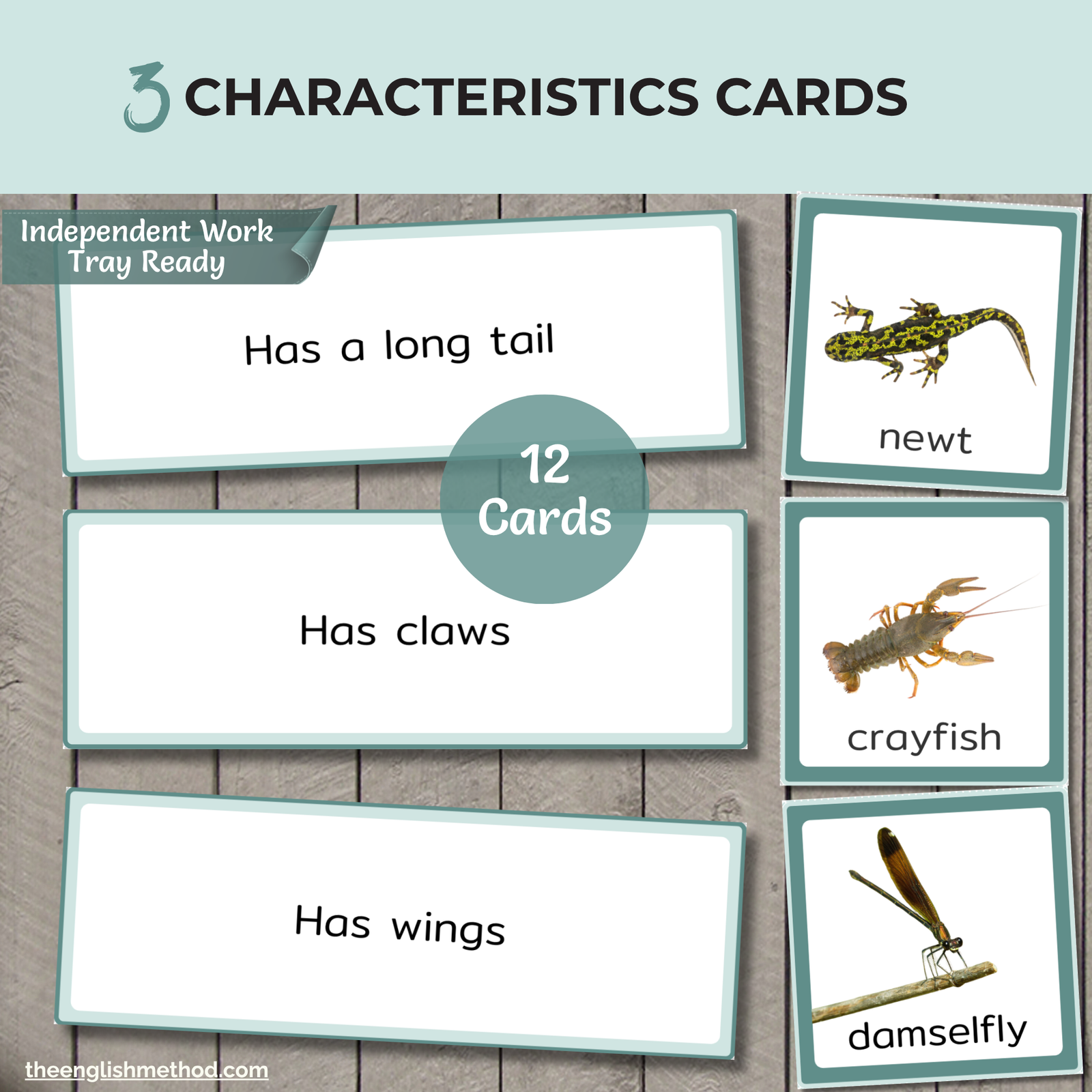 Pond Animals Study - Image 5