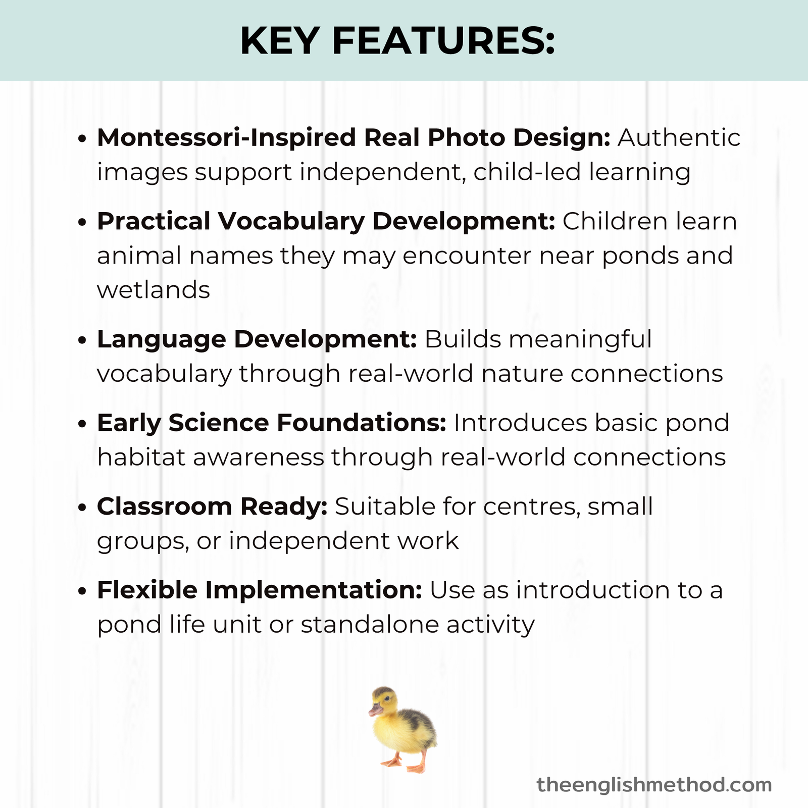 Pond Animals Vocabulary Picture Cards - Image 4