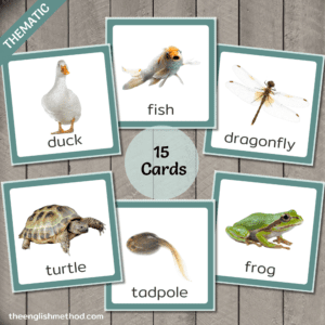 Pond Animals Vocabulary Picture Cards