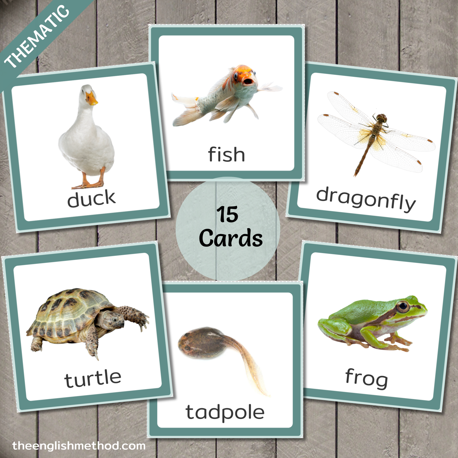 Pond Animals Vocabulary Picture Cards