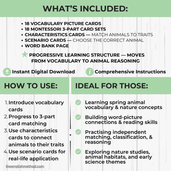 Spring Animals Study - theenglishmethod.com