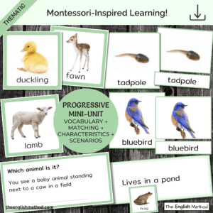 Spring Animals Study