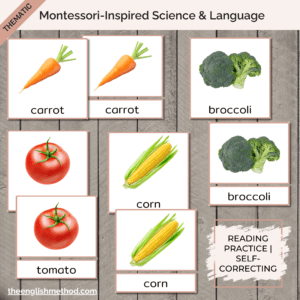 Vegetables 3-Part Cards