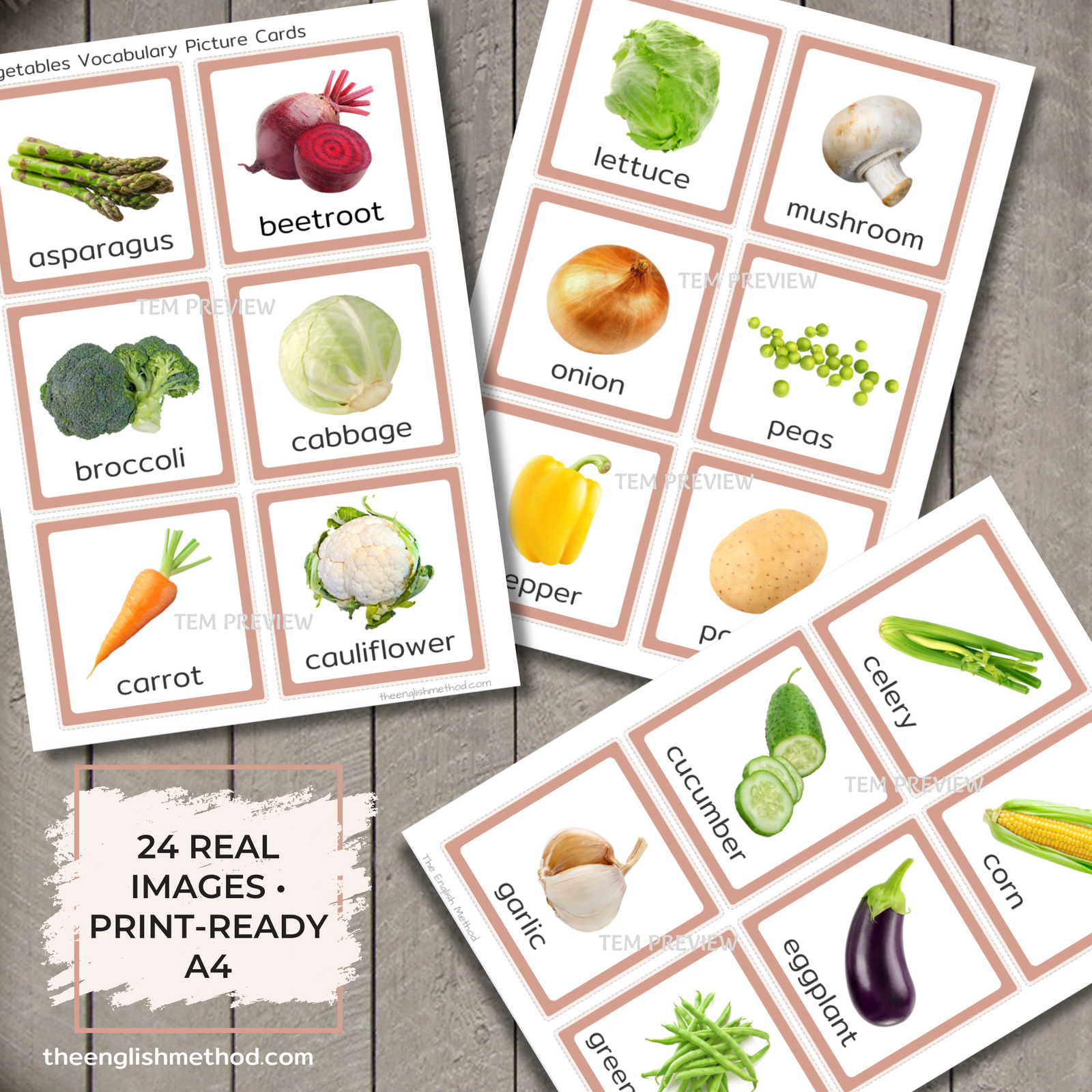 Vegetables Vocabulary Picture Cards - Image 3