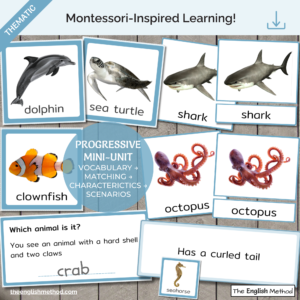 Ocean Animals Study