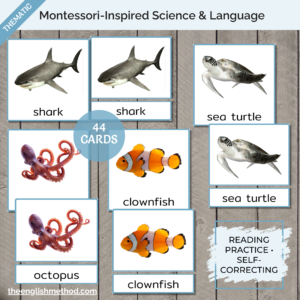 Ocean Animals 3-Part Cards