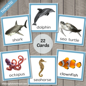 Ocean Animals Vocabulary Picture Cards