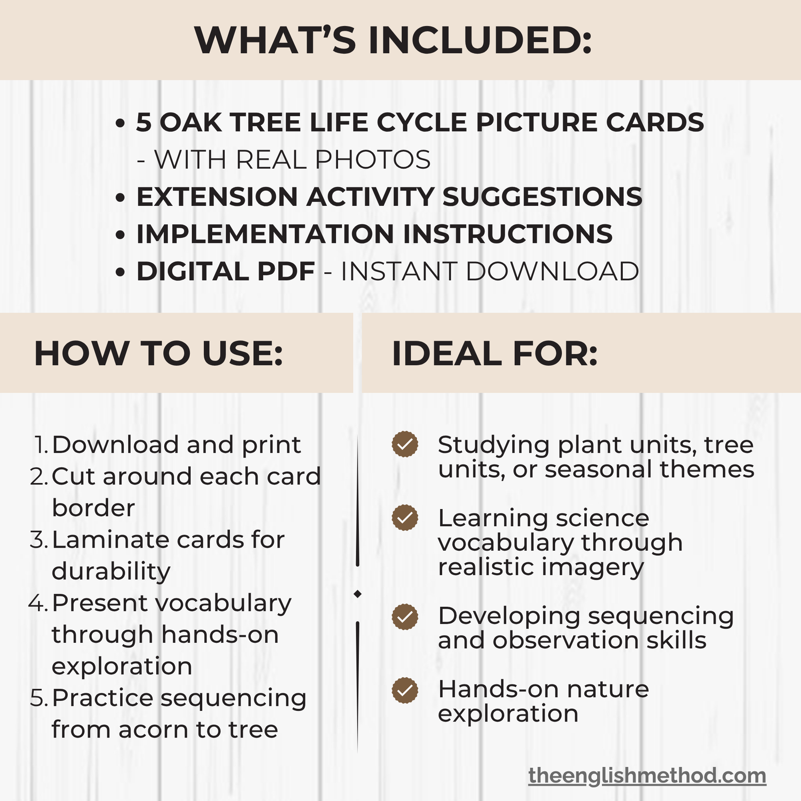 Oak Tree Life Cycle Cards - Image 2