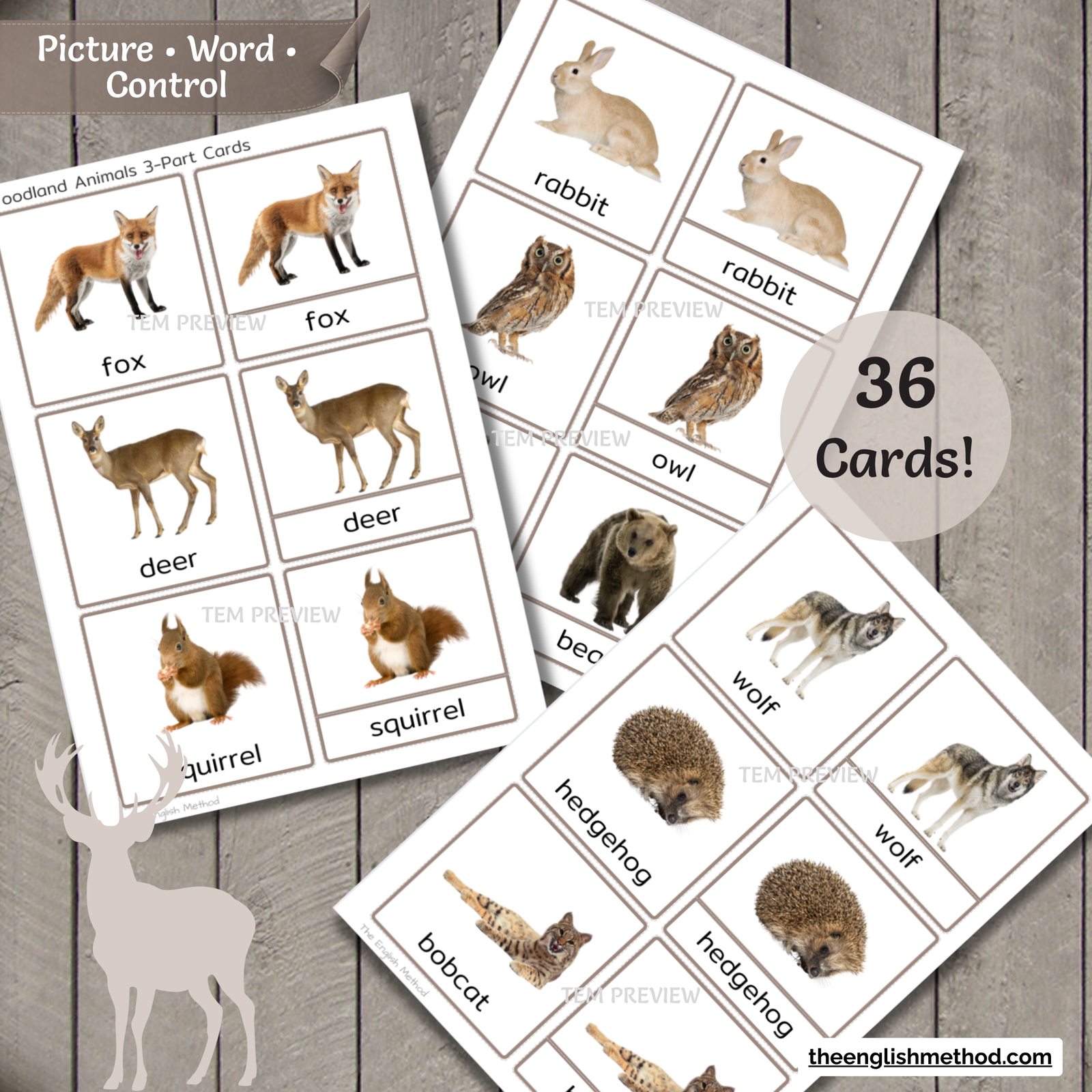 Woodland Animals 3-Part Cards - Image 3