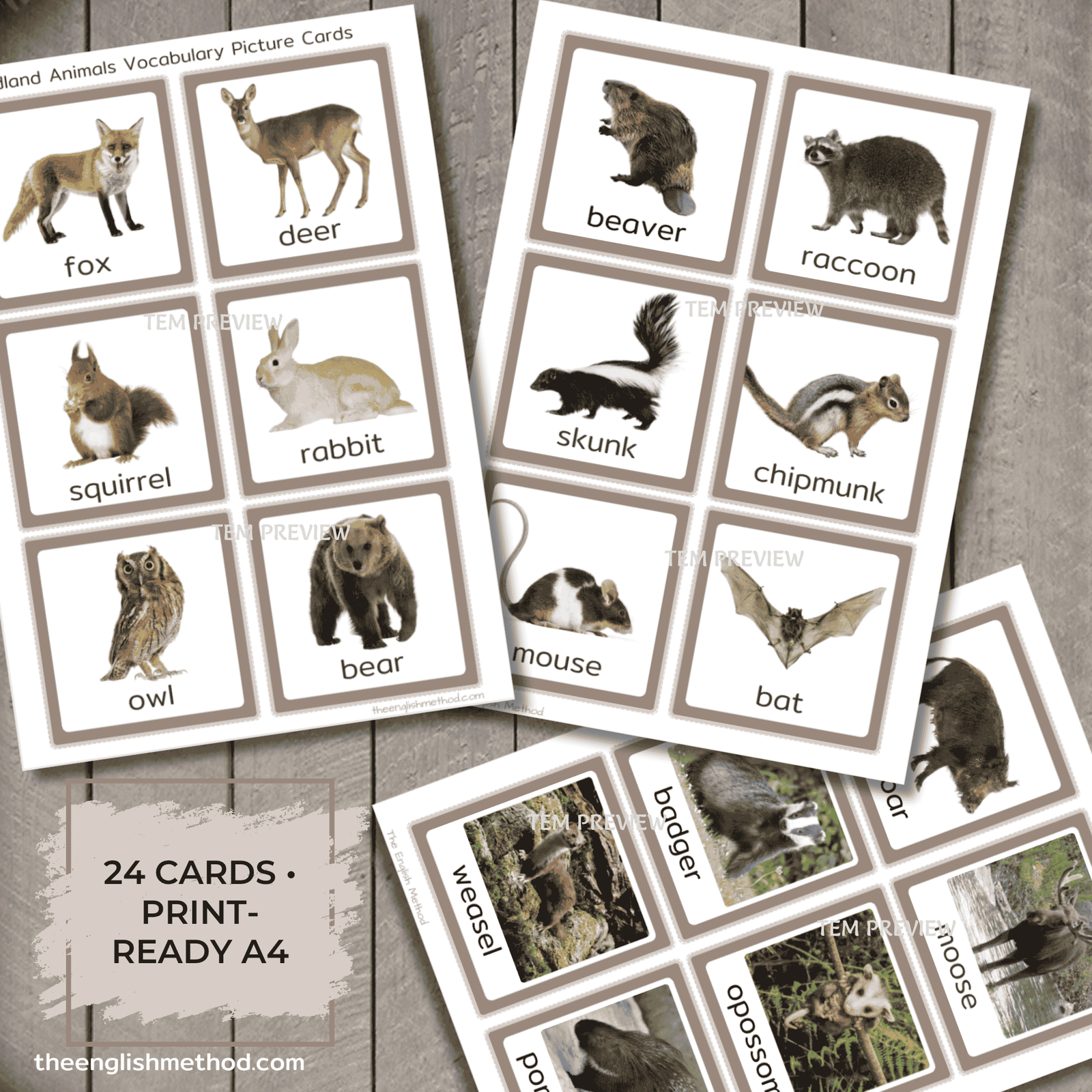 Woodland Animals Vocabulary Picture Cards - Image 3