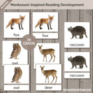 Woodland Animals 3-Part Cards