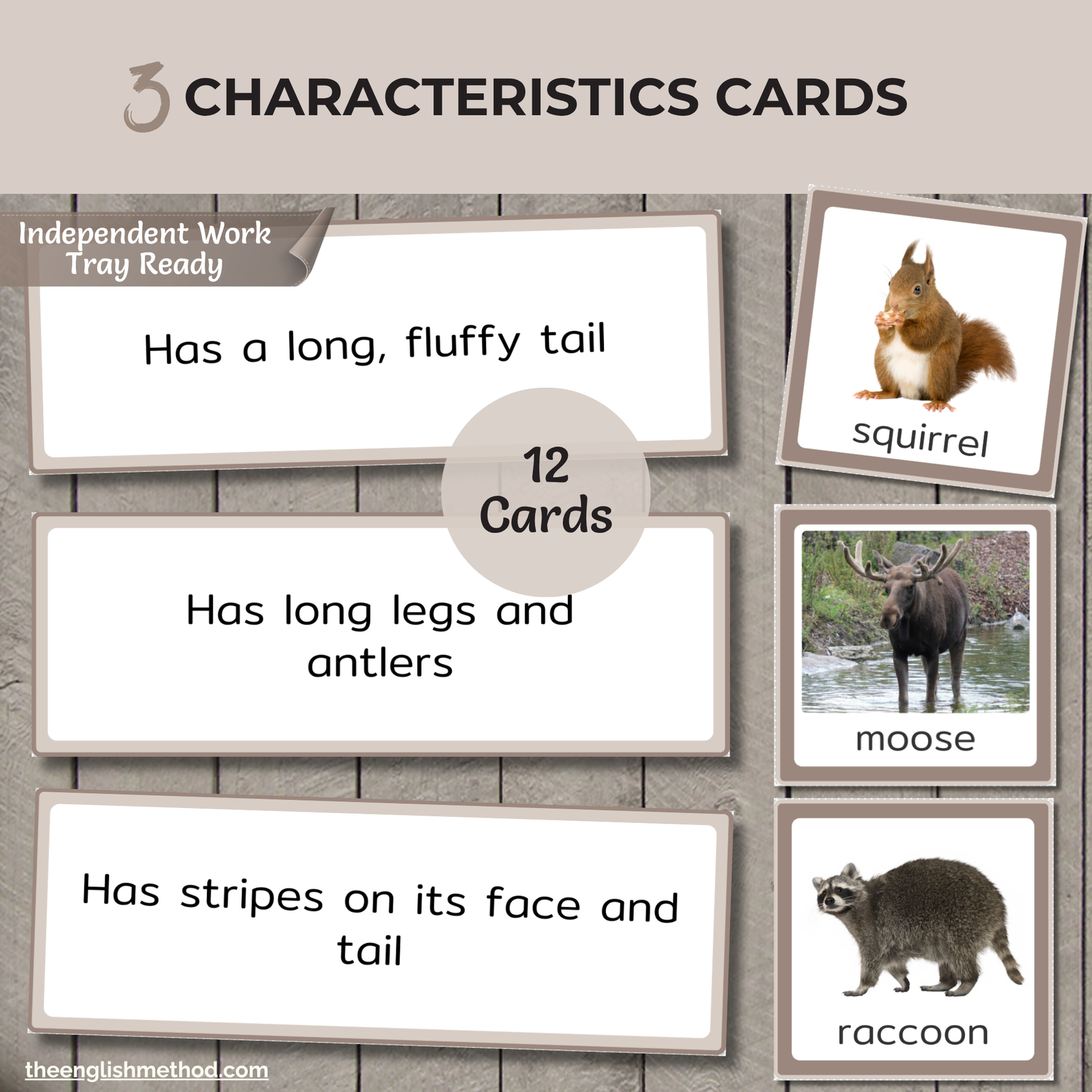 Woodland Animals Study - Image 5