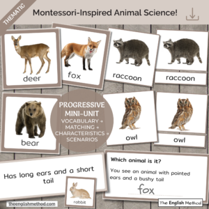 Woodland Animals Study