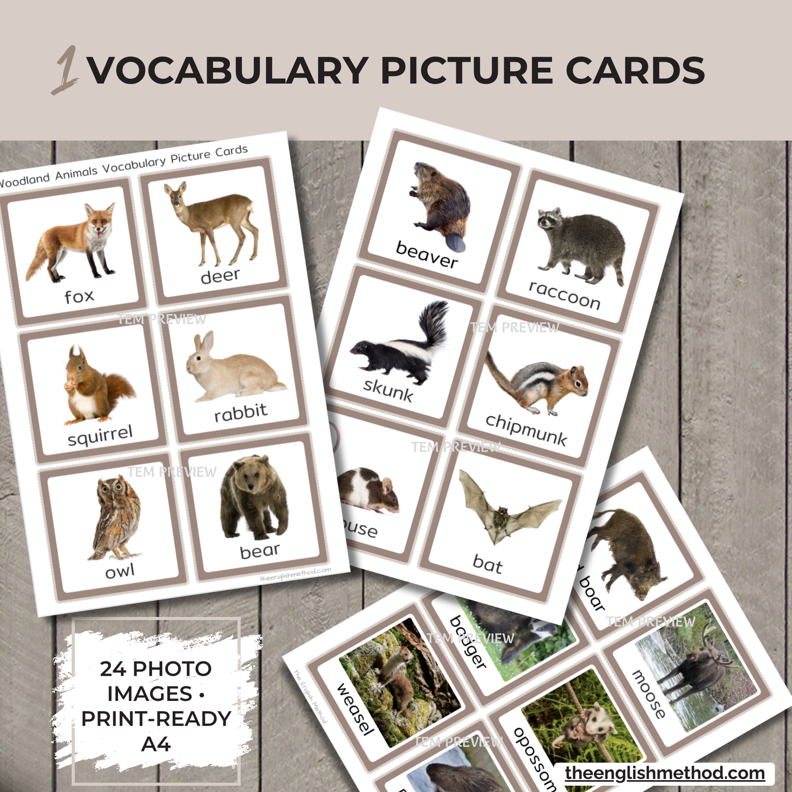 Woodland Animals Study - Image 3