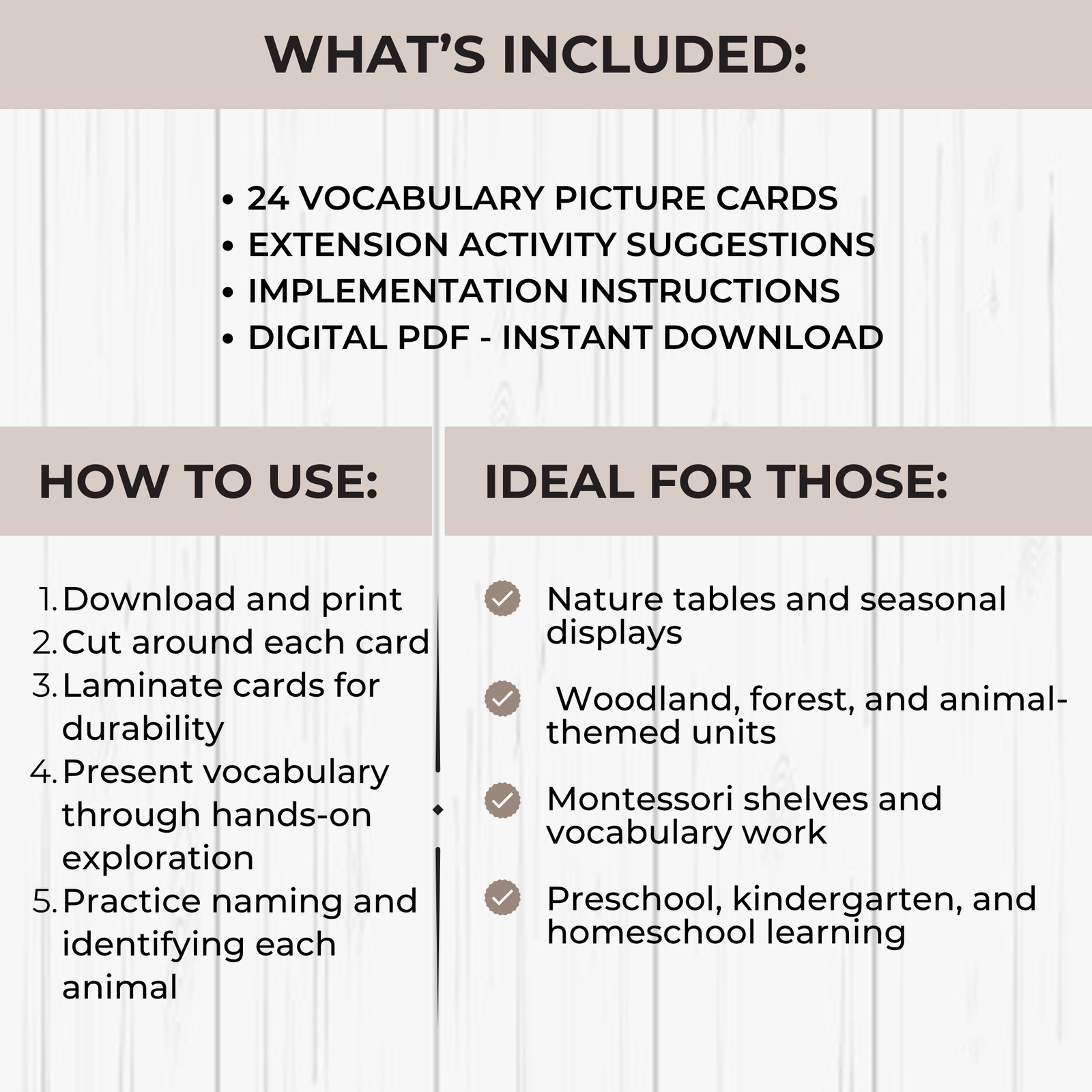 Woodland Animals Vocabulary Picture Cards - Image 2