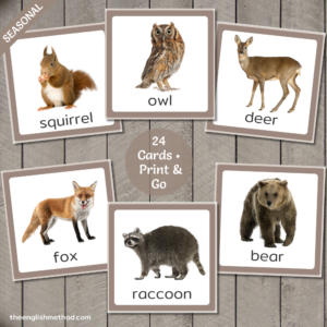 Woodland Animals Vocabulary Picture Cards