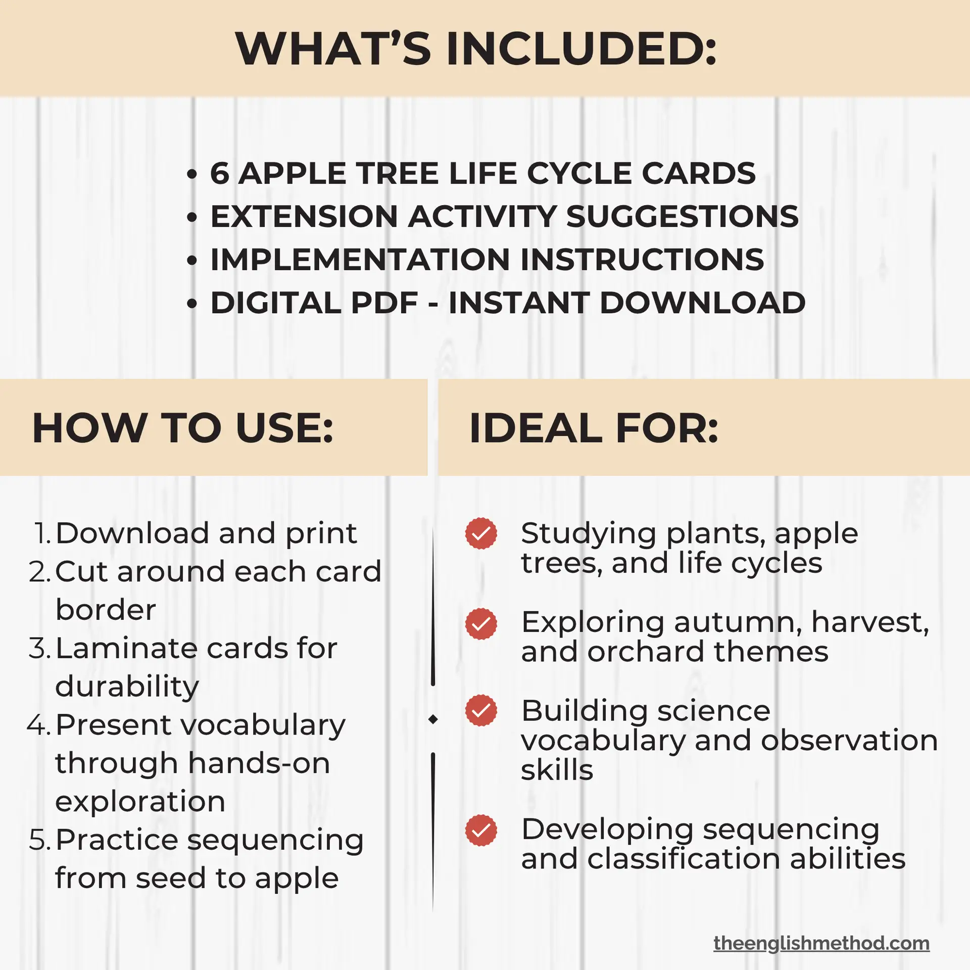 Apple Tree Life Cycle Cards - Image 2