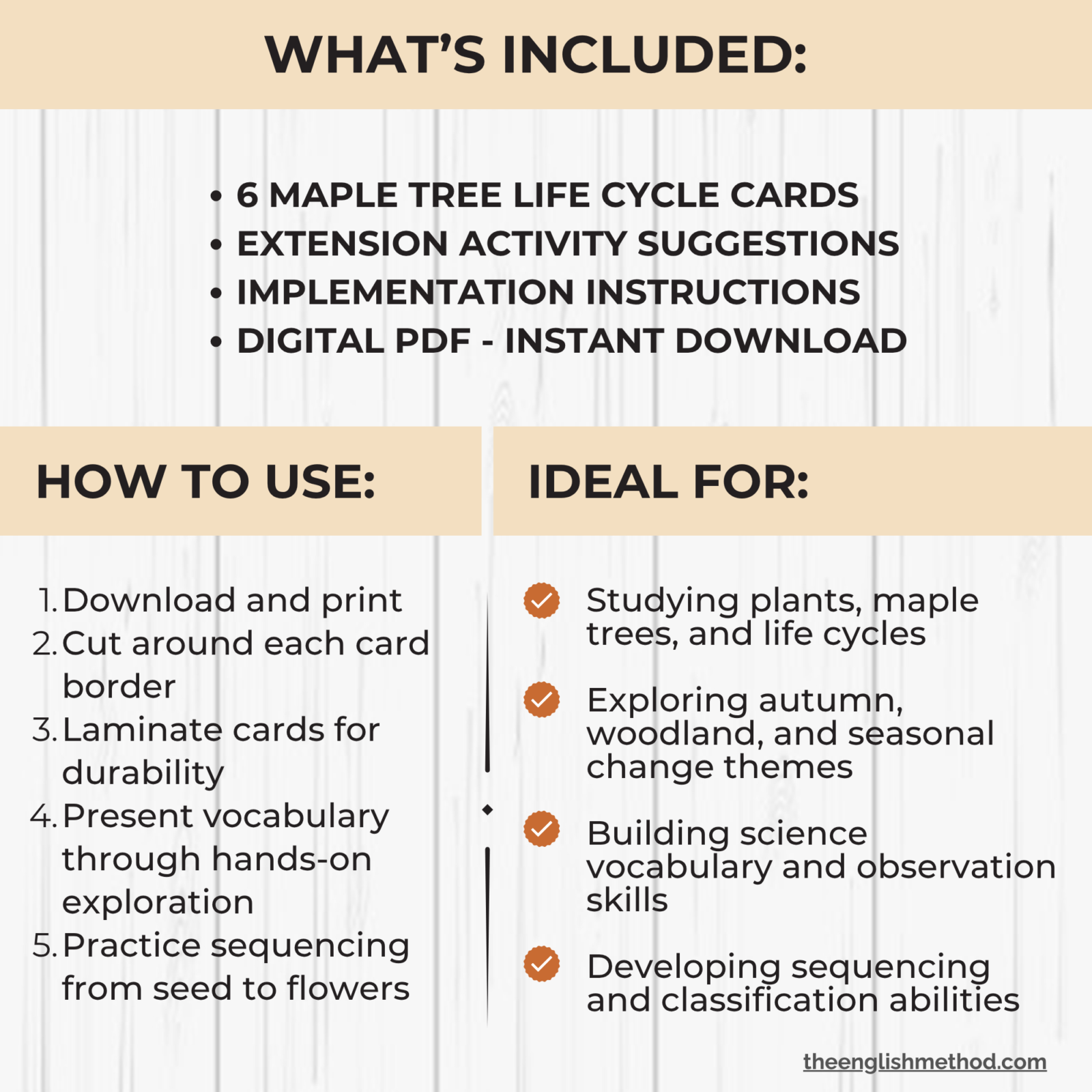 Maple Tree Life Cycle Cards - Image 2