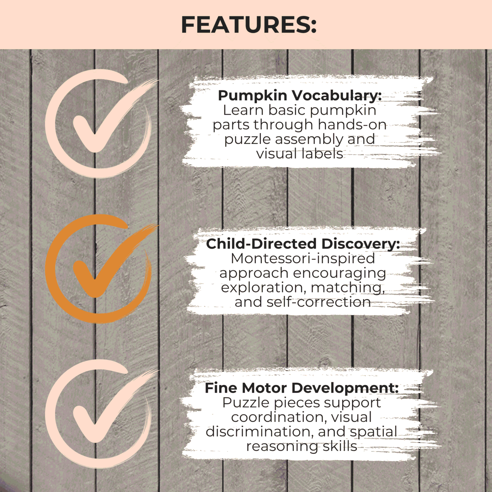 My First Parts of a Pumpkin Mat - Image 3