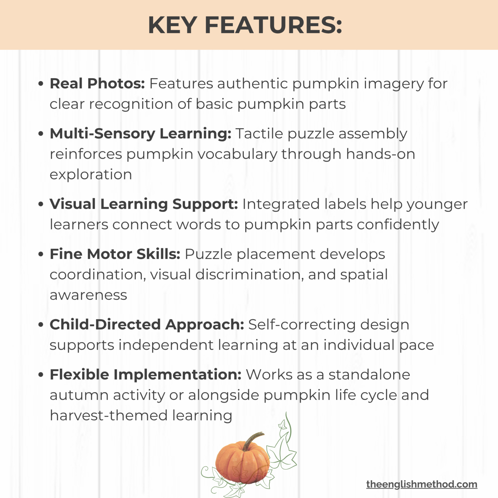 My First Parts of a Pumpkin Mat - Image 4
