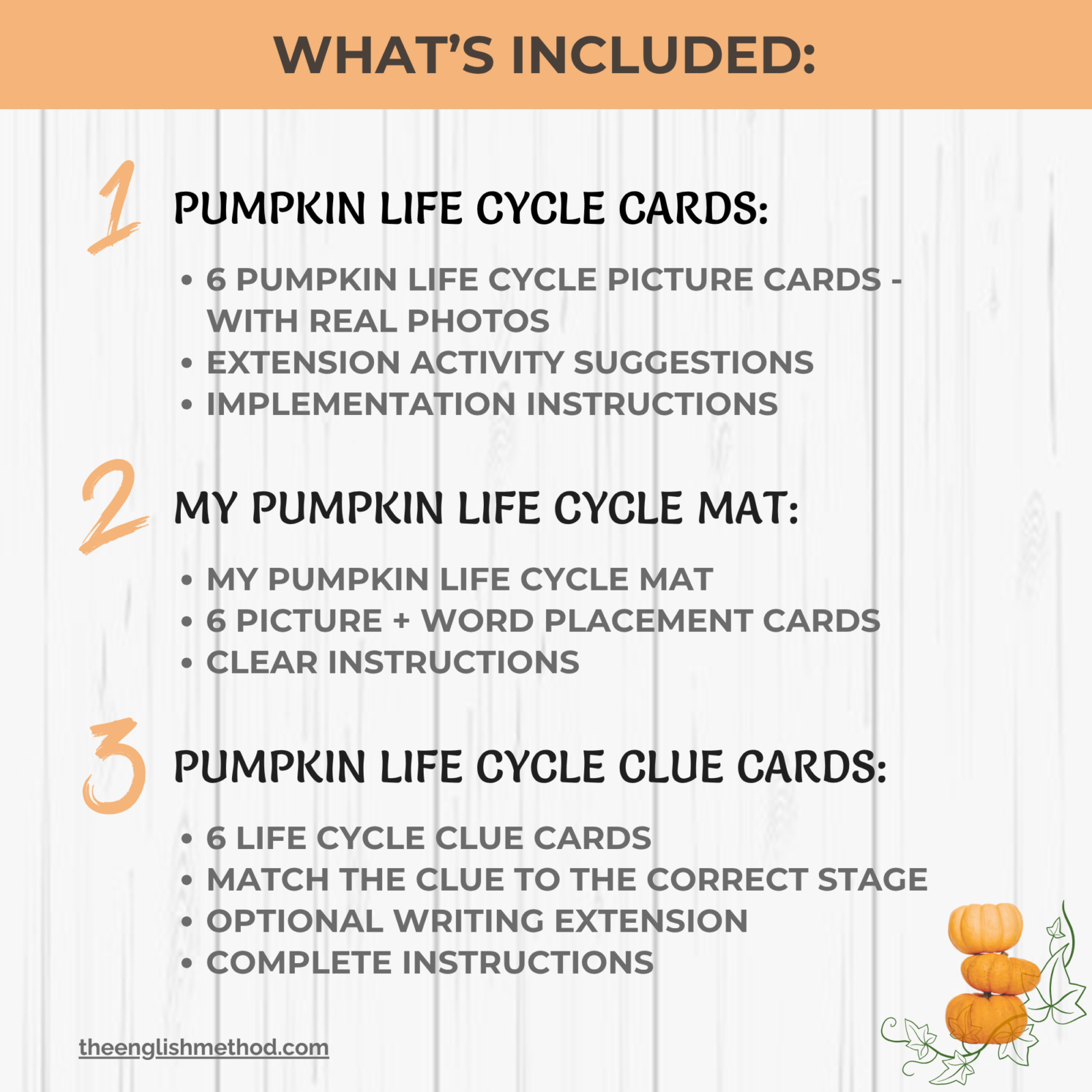 Pumpkin Life Cycle Mini-Study - Image 2