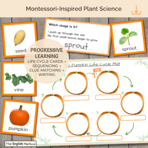 Pumpkin Life Cycle Mini-Study