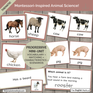Farm Animals Study